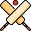 cricket bets at rajabets